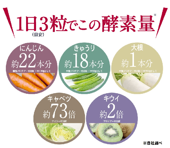 豊富な酵素量