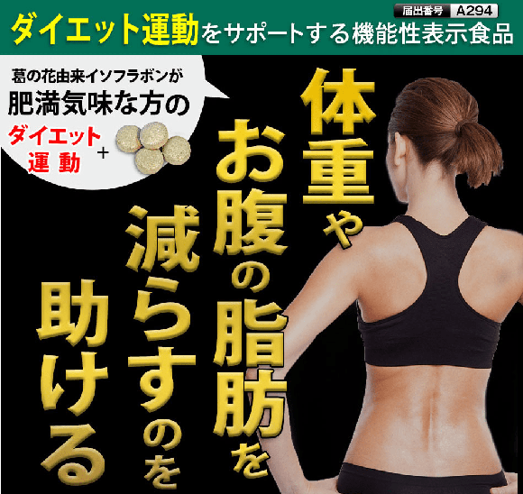 スリムフォー脂肪燃焼